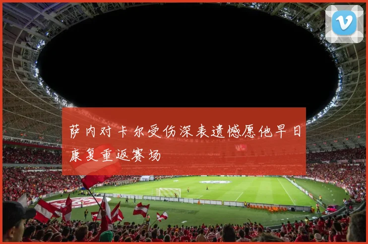 萨内对卡尔受伤深表遗憾愿他早日康复重返赛场